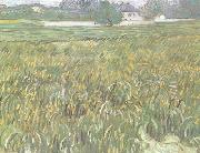 Vincent Van Gogh Wheat Field at Auvers with White House (nn04) Spain oil painting artist